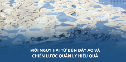 Mối nguy hại từ bùn đáy ao và chiến lược quản lý hiệu quả